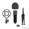 RITMIX RDM-160 Black {конденсаторный}