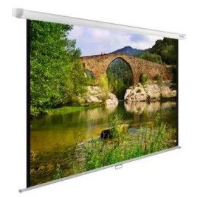 Экран 220X165CM CS-PSWE-220X165-WT CACTUS