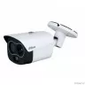DAHUA DHI-TPC-BF1241-TB3F4-DW-S8 Двухспектральная тепловизионная IP-камера с ИИ, 1/2.7" Progressive CMOS; объектив 4мм, неохлаждаемый FPA детектор 256x192, объектив 3.5мм, ИК до 30м, IP67